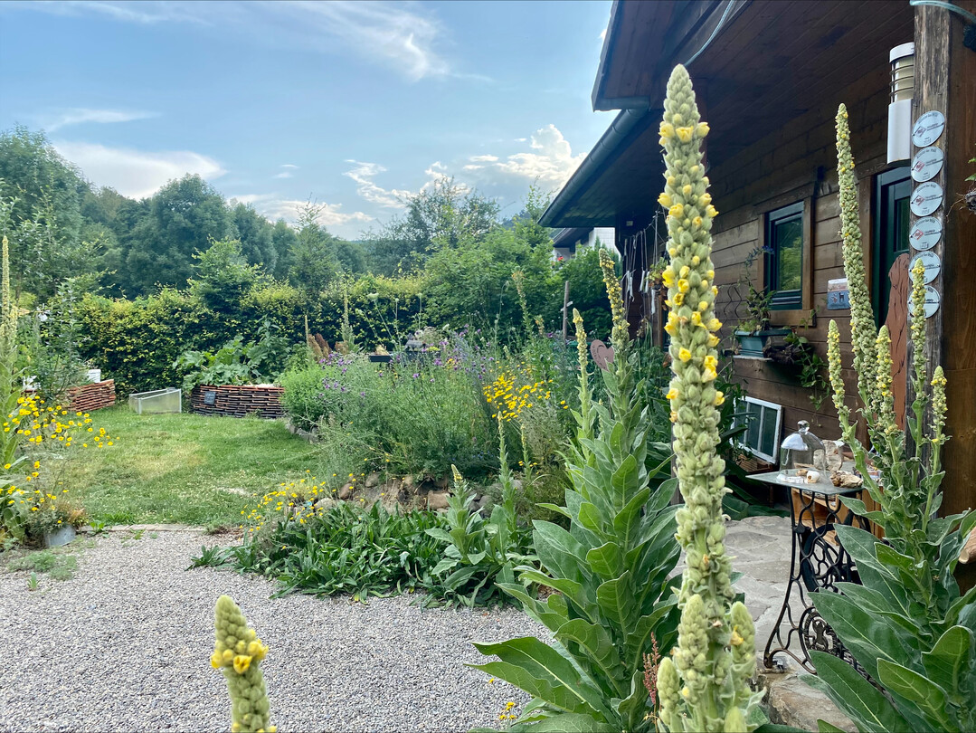 Der Vorgarten von Sabine Gaipl aus Simmerath: Mit kreativem Geschick hat sie in den vergangenen Jahren ein regelrechtes Schlaraffenland fr Flora und Fauna geschaffen. Trockenmauern, Totholz und Steinhaufen  um nur einiges zu nennen  bieten in diesem ppigen Vorgartenparadies Lebensraum fr zahlreiche Pflanzen und Tiere. Im Bild ein Blick ber Magerbeete, Ziegel-Hochbeete und wilde Ecken. <br>