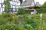 Der Vorgarten von Anja Dzuballe aus Olpe: Sie überzeugte die Jury mit ihrem eindrucksvollen Bauerngarten vor der Haustür. Ein Vorgarten, angelehnt an historische Vorbilder des Kloster- bzw. Bauerngartens, passend zum denkmalgeschützten Fachwerkhaus aus dem Jahre 1800. Neben einer Buchsbaumhecke und dem Eingang mit Rosenbogen finden sich hier ausschließlich alte Staudenpflanzen und Beerenobst sowie blühende, insektenfreundliche Sträucher.