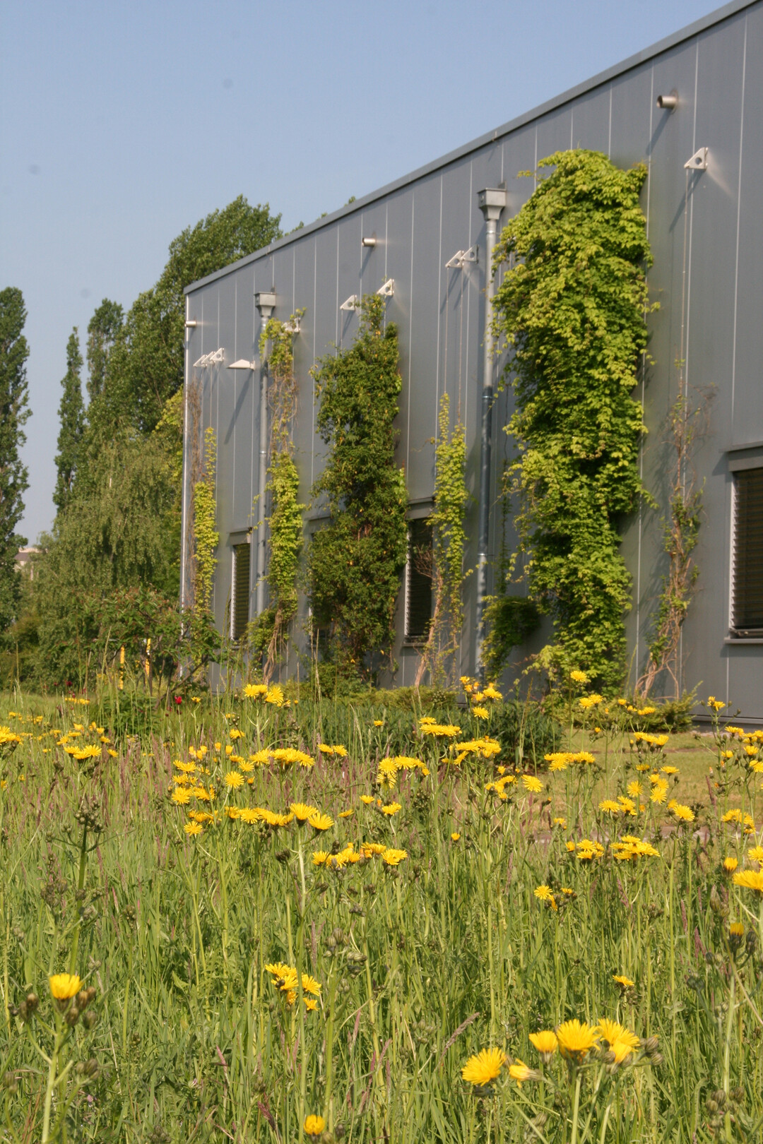 Der Preis in der Kategorie Firmenareal ging an die Contag AG. Auf 1,4 Hektar Firmenflche hat der Leiterplattenhersteller in ber 10 Jahren eine vielfltige und sich kontinuierlich weiter entwickelnde Gartenlandschaft geschaffen. Das Areal beeindruckt durch sein Gesamtkonzept. In die Gestaltung sind neben Reprsentations- und Kunstobjekten attraktive Aufenthalts- und Sportbereiche fr die Mitarbeiter ebenso integriert wie Bereiche, die der Biodiversitt und dem Stadtklima zu Gute kommen. Zudem versickert das Regenwasser an Ort und Stelle und die Bewsserung der Pflanzen erfolgt ausschlielich durch den eigenen Tiefbrunnen. 