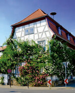 Rosenmuseum Steinfurth