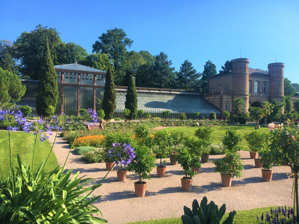 Außenanlage am Botanischen Garten Karlsruhe neu gestaltet Gartenpraxis
