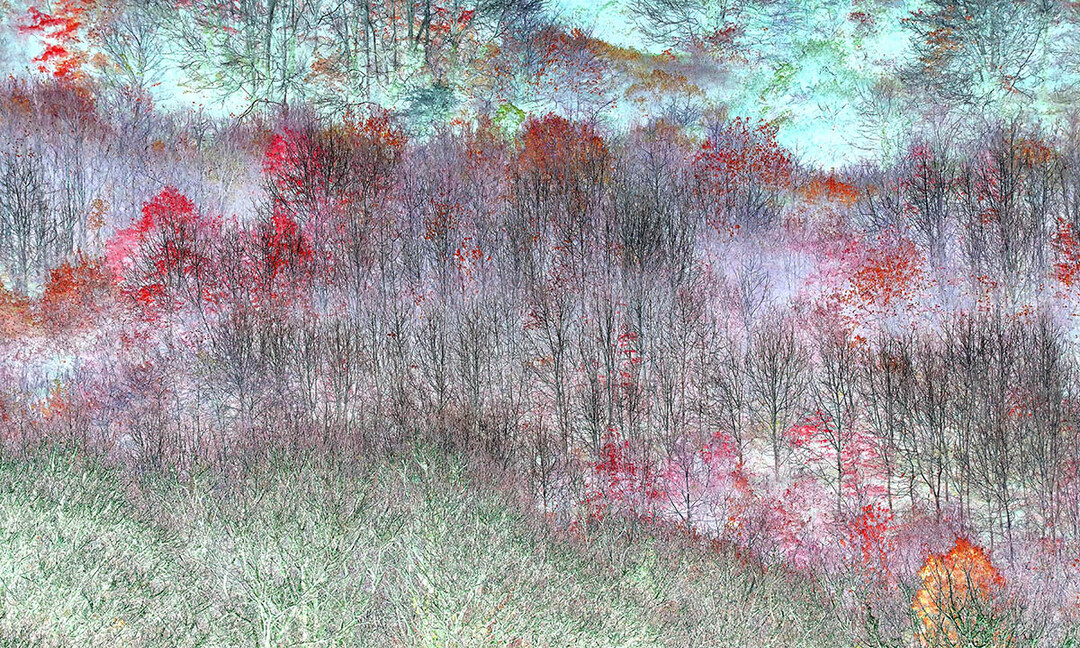 Kategorie Abstract Views,  Gewinnerfoto von Claire Ogden: Magical Trees

Roseland Peninsula, Cornwall, England. "Ich suchte nach Farben im Herbst, aber nur wenige Bltter waren noch zu sehen. Mit Software nderte ich die Laubfarben ab und es entstand dieses magische abstrakte Herbstbild." 