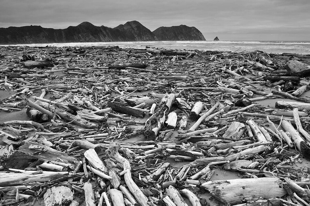  Plants & Planet,    Gewinnerfoto von Jonathan Barran: Tolaga Bay, North Island, Neuseeland:

Mehrere starke Strme verursacht durch Klimawandel haben tausende von Tonnen an Holz aus Forstplantagen in die berfluteten Flsse hinter der Tolaga-Bucht gesplt. Das Holz sammelte sich am Strand und zerstrte dabei Sanddnen und Pflanzen.    