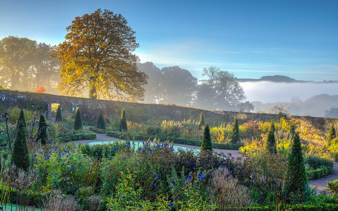 Beautiful Gardens,    Gewinnerfoto  von Nigel McCall: Indian Summer Morning
in Aberglasney Gardens, Carmarthenshire, GB-Wales.
Der obere "Walled Garden" ist zu jeder Jahreszeit inspirierend fr Fotografen. Dieses Foto entstand Ende Oktober: Auf kalte, manchmals frostige Nchte folgten warme, helle Tage. Nebel fllt das Tal, die Morgensonne beleuchtet die Szenerie - und das Indian Summer-Foto ist perfekt.  
