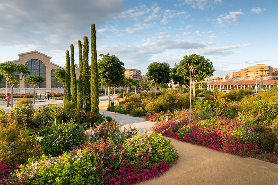 Greening the City,    Gewinnerfoto  von Richard Bloom. Der Valencia Parque Central

in der Innenstadt von Valencia wurde von den Gustafson Porter + Bowman geplant. Phase 1 war 2019 fertiggestellt, nachdem die Gleise der Hochgeschwindigkeitszge unterirdisch verlegt waren. Dies bedeutendste Sanierungsprojekt der Stadt kostet zirka 73 Mio. .   