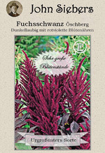 Auch diese alte Sorte ist Teil des Jubliäumssortiments von Samenfachhandel Siebers.