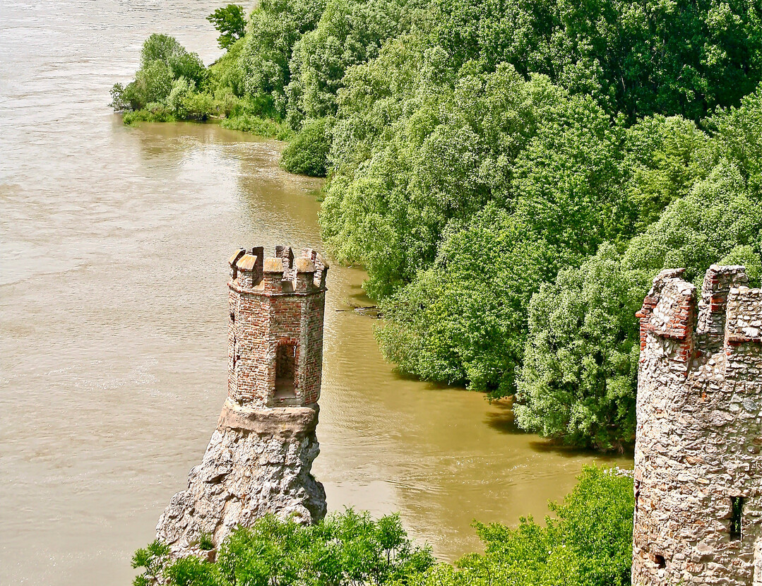Silberweidenaue: Blick von der slowakischen Burg Devín über die Marchmündung auf die naturnahe Flussaue der Donau mit Silber-Weide (Salix alba) und Schwarz-Pappel im Nationalpark Donauauen unterhalb Wiens