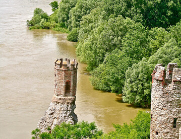 Silberweidenaue: Blick von der slowakischen Burg Devn ber die Marchmndung auf die naturnahe Flussaue der Donau mit Silber-Weide (Salix alba) und Schwarz-Pappel im Nationalpark Donauauen unterhalb Wiens