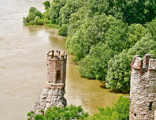 Silberweidenaue: Blick von der slowakischen Burg Devn ber die Marchmndung auf die naturnahe Flussaue der Donau mit Silber-Weide (Salix alba) und Schwarz-Pappel im Nationalpark Donauauen unterhalb Wiens