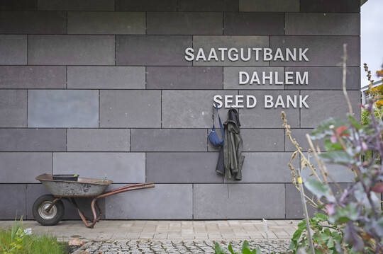 30 Jahre Dahlemer Saatgutbank