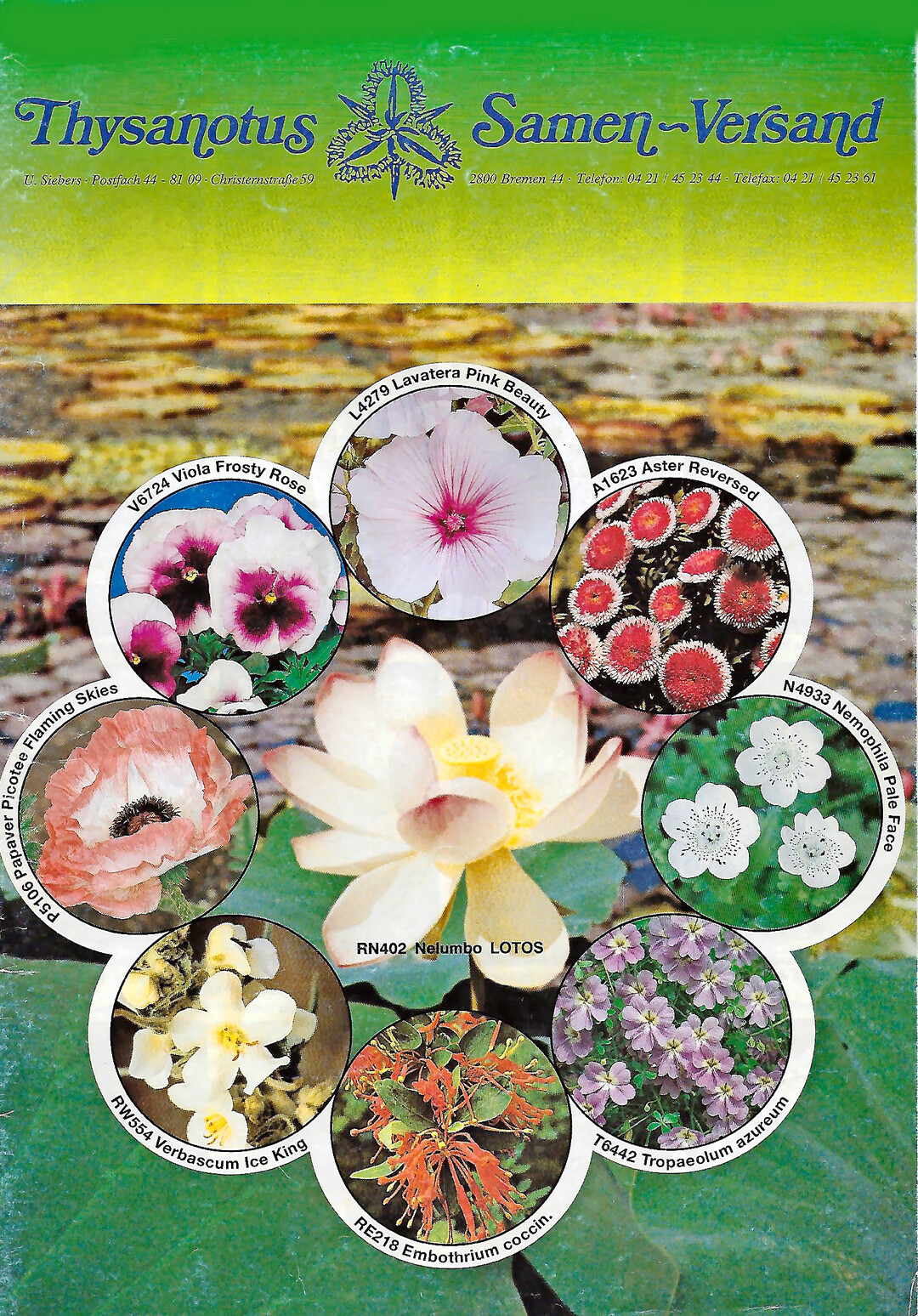 Thysanotus-Versand Hauptkatalog 1993 mit einer Auflage von ber 10.000 Exemplaren