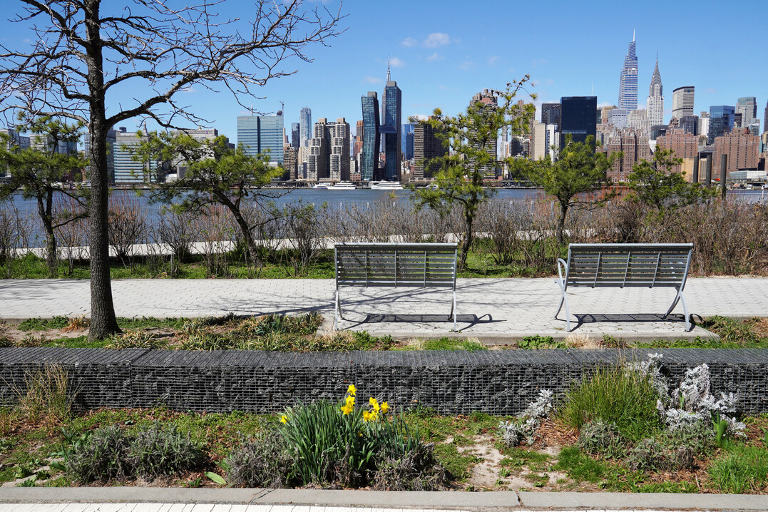 Ausblick auf die Skyline von Manhattan vom Hunter’s Point South Waterfront Park: Die Versickerungsmulde (Bioswale) mit Gabione in der Mitte zieht sich entlang der Ostseite des Parks und speichert Regenwasser zur Entlastung der Kanalisation bei starkem Niederschlag.