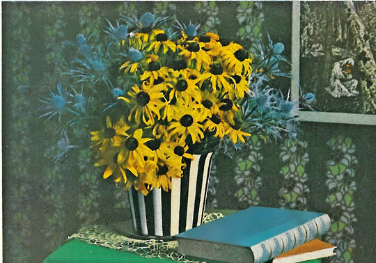 Tafel aus dem Katalog von Kayser & Seibert 1925