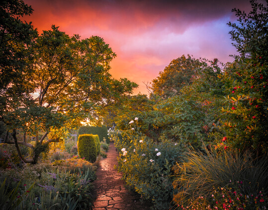 Spectacle of the Painted Storm von Max Rush ist Gesamtsieger des IGPOTY-Wettbewerbs 2025 und Sieger in der Kategorie Beautiful Gardens.
