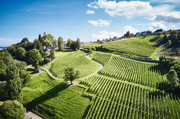 Das Weingut Arenenberg ist Teil des InterregVI-Projekts "Garten und Wein"  Biodiversitt im Weingarten, bei dem Wege fr zukunftsorientiertes Grtnern und mehr Biodiversitt im Weinbau erforscht wird.