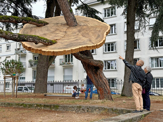 Le Voyage a` Nantes: Yushin U Chang zeigt das Wachstumspotentialeiner Schirm-Kiefer.