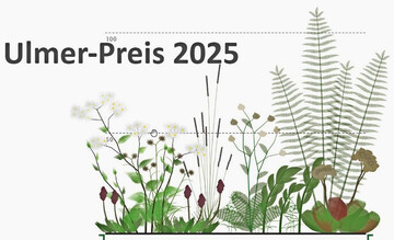 "Neuartige Pflanzengemeinschaften fr Verdunstungsbeete", Preistrger Ulmer-Preis 2023
