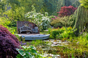 Blick auf den Gartenteich mit Kletterrose "Constance Spry" an der Mauer und leuchtend weiem Cornus kousa "Schmetterling" dahinter