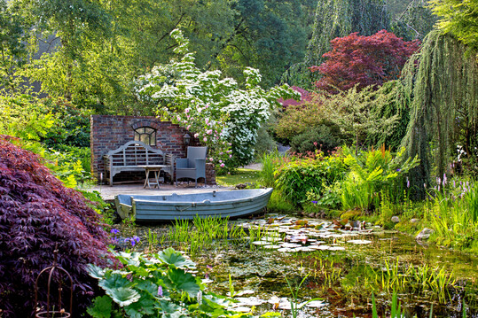 Blick auf den Gartenteich mit Kletterrose "Constance Spry" an der Mauer und leuchtend weiem Cornus kousa "Schmetterling" dahinter