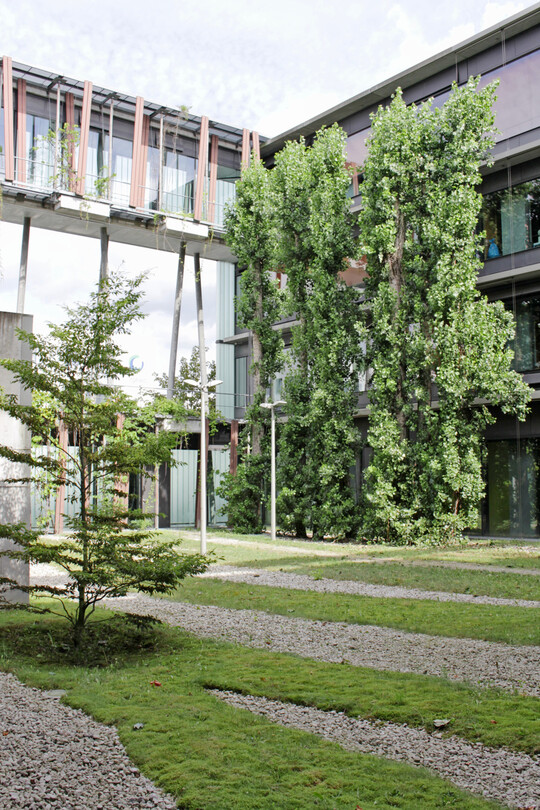 Institut für Physik – Humboldt Universität, Berlin-Adlershof (Stefan Tischer, Landschaftsarchitekt, Augustin + Frank, Architekten
mit Joerg Th. Coqui, Landschaftsarchitekt, COQUI MALACHOWSKA COQUI Städtebau Landschaftsarchitektur), LP 4-9