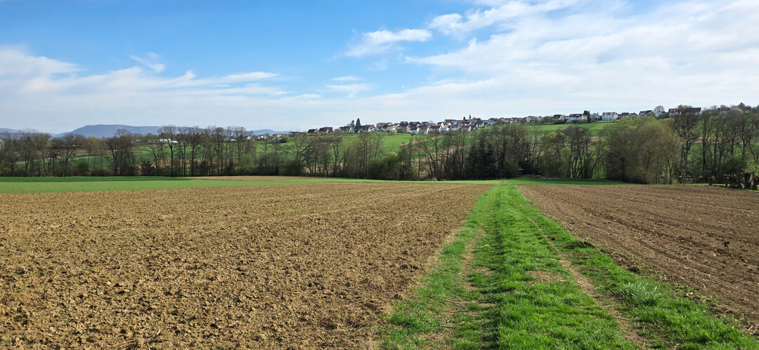 Von Anfang Februar bis Mitte April blieb es sehr niederschlagsarm.