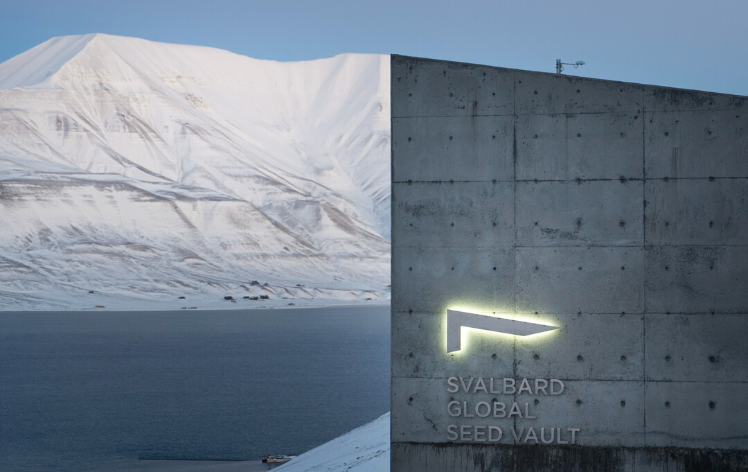 Seit 2008 bewahrt der internationale Saatguttresor (Global Seed Vault), von dem hier der Eingangsbereich zu sehen ist, Proben aus der ganzen Welt auf.