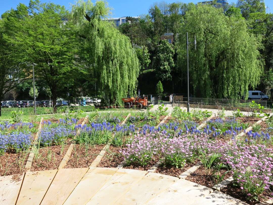 Urbane Grten im Petruss-Tal: Garten-Installation Blue Sky von Jerome Goedseels  das Musikstck Mr Blue Sky wird mit den Bltenfarben einer Pflanzenkomposition visualisiert.