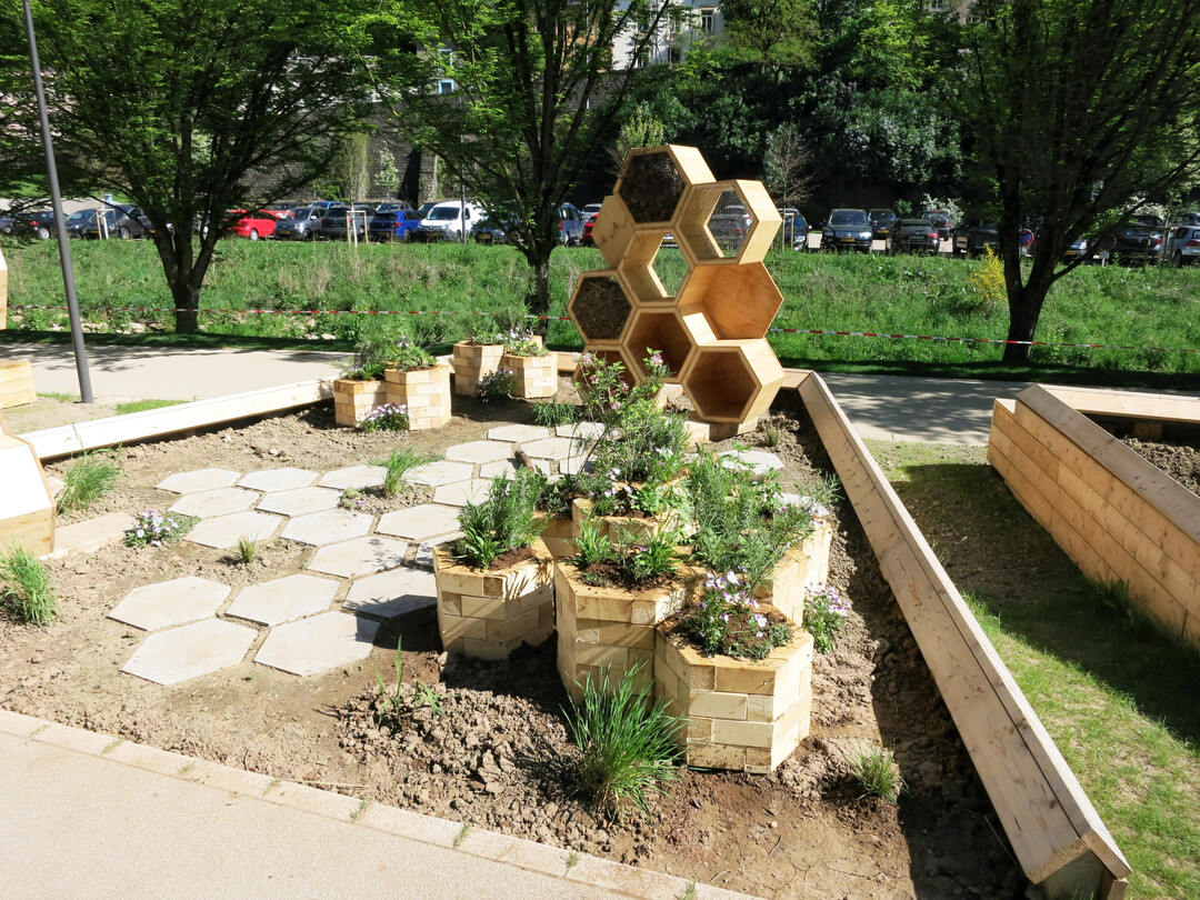 Urbane Grten im Petruss-Tal: Garten-Installation Nice to Bee von Carina Hahn  aus nachhaltigen Materialien ist dieser insektenfreundliche Beitrag gebaut.