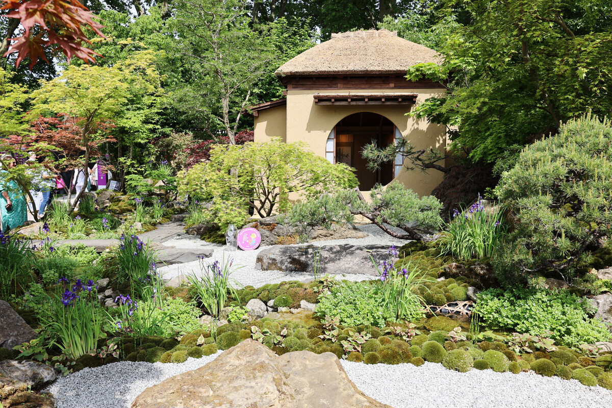 Schaugärten auf der Chelsea Flower Show 2025 Gartenpraxis