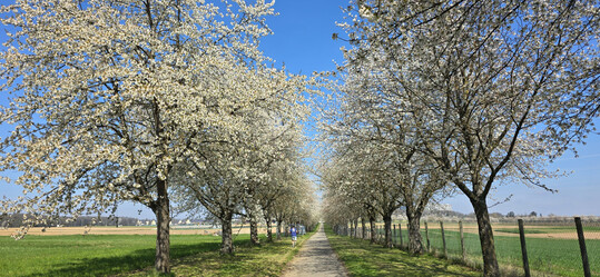 Der April endete als siebtwärmster und brachte ungewöhnlich frühe Sommerwärme.
