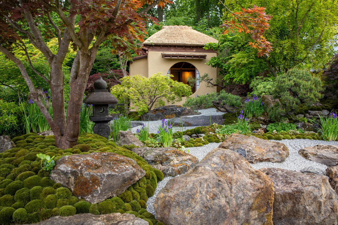 Cha no Niwa: Garden of the Year bei der Chelsea Show 2025