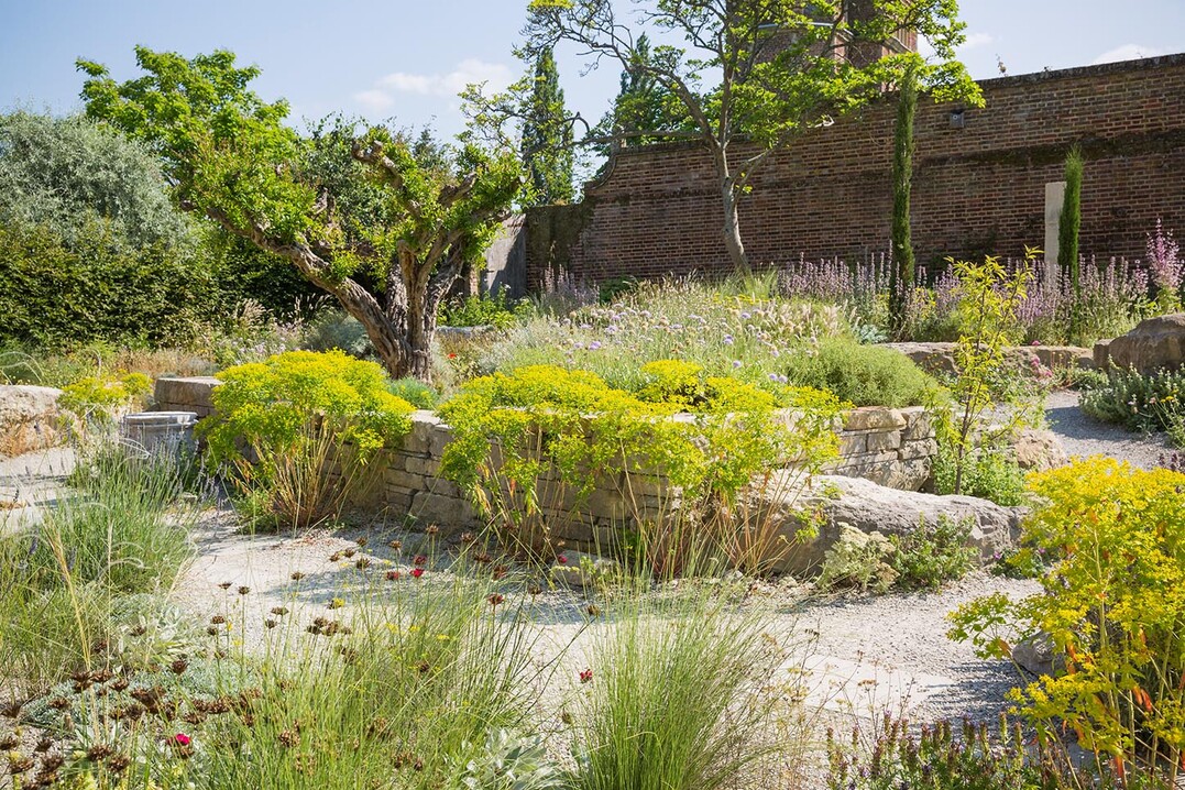 Delos Garden in Sissinghurst Castle Garden: Granatapfelbaum inmitten mediterrraner Bepflanzung - so wie Vita Sackville-West und Harold Nicholson es sich erträumt hatten, wurde es nun umgesetzt.