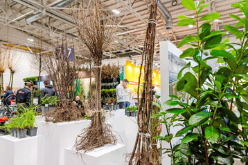 Unter dem Motto „Unendlich grüne Vielfalt“ präsentiert die IPM ESSEN vom 28. bis 31. Januar 2026 die gesamte Wertschöpfungskette der Branche.