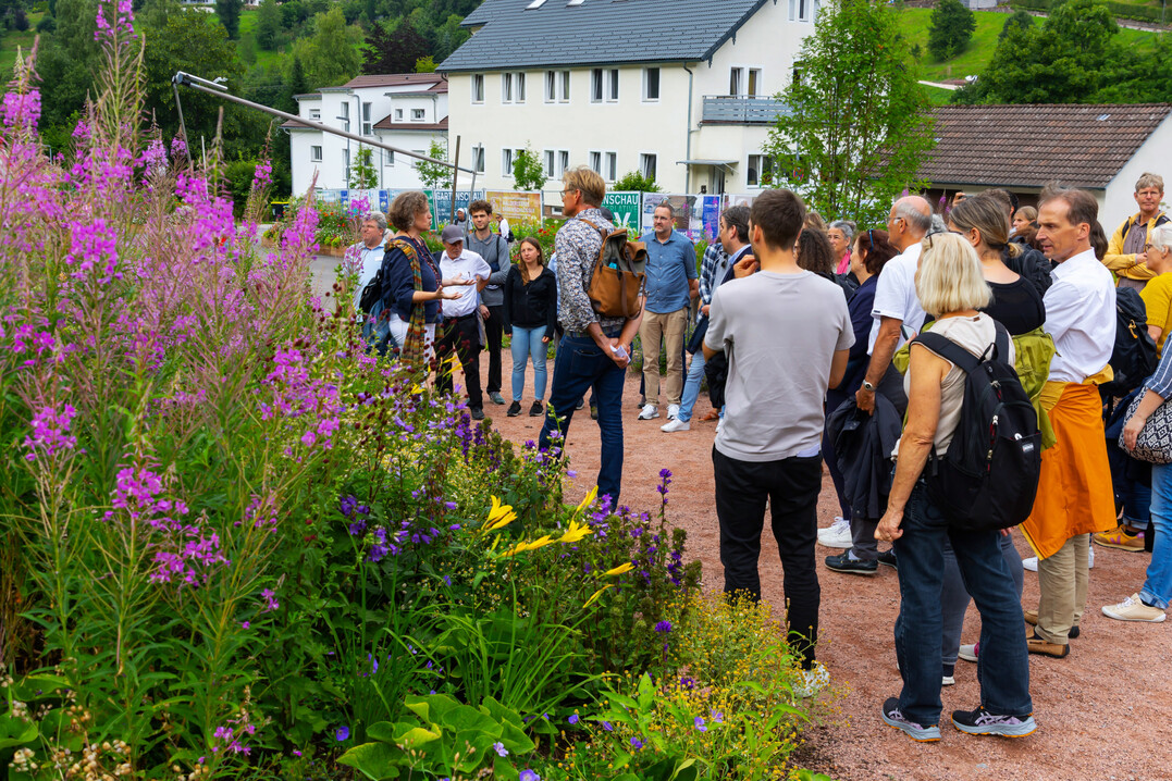 Im Anschluss an das bdla-Seminar besichtigten die Teilnehmer und Referenten die Staudenpflanzungen der Gartenschau Tal X in Freudenstadt.