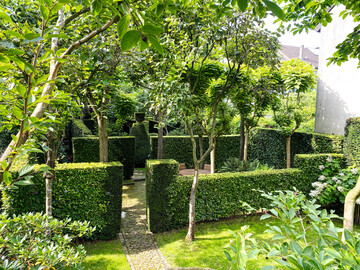 Blick in das Catalpa-Gartenzimmer: ein Sitzplatz unter dem lichten Schatten der hohen Bume
