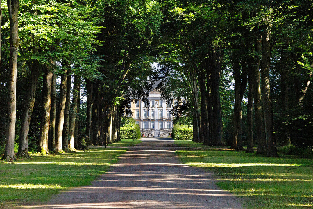Blick vom Tiergarten zum Schloss Augustusburg