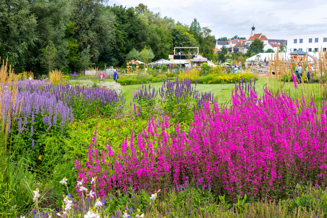 OÖ Schärding Innsgrün Gartenschau