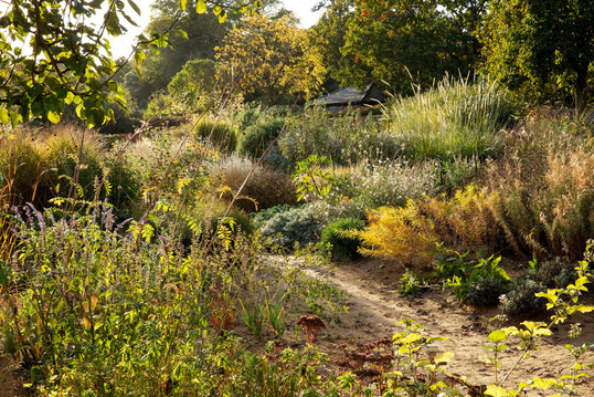 Im oberen Bereich des Gelndes gedeihen sonnenliebende Pflanzen in gut entwssertem Sandboden, wie etwa Blausternbusch (Amsonia hubrichtii), Prachtkerze (Oenothera lindheimeri Whirling Butterflies) und Afrikanisches Lampenputzergras (Pennisetum macrourum).
