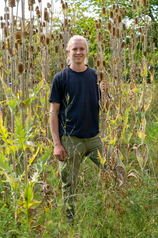 Simon Wiechert im neuen Naturgarten im Naturkundemuseum Mnster inmitten der Wildwiese