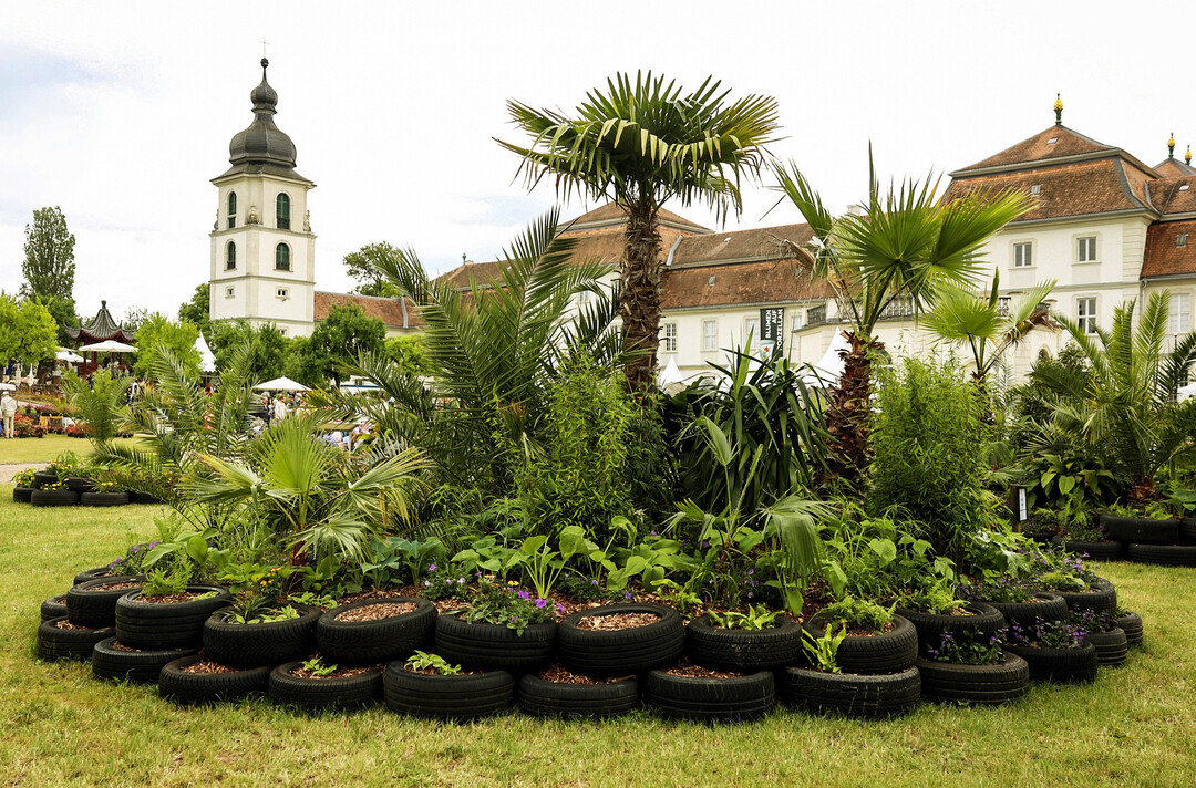 Schaugarten 2025: Vom Regenwald in den Garten von Vivien Keil und Jan Schilling