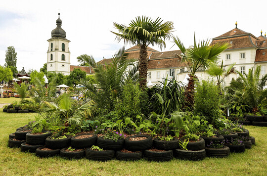 Schaugarten 2025: Vom Regenwald in den Garten von Vivien Keil und Jan Schilling