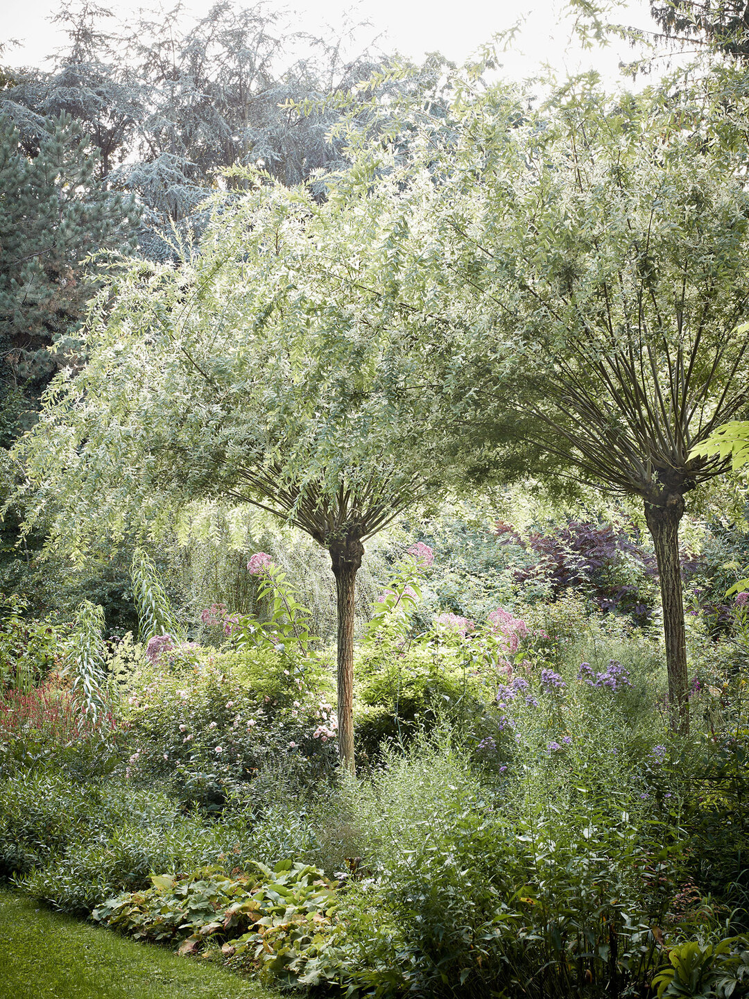 Einblicke in Deimmanns Aue 