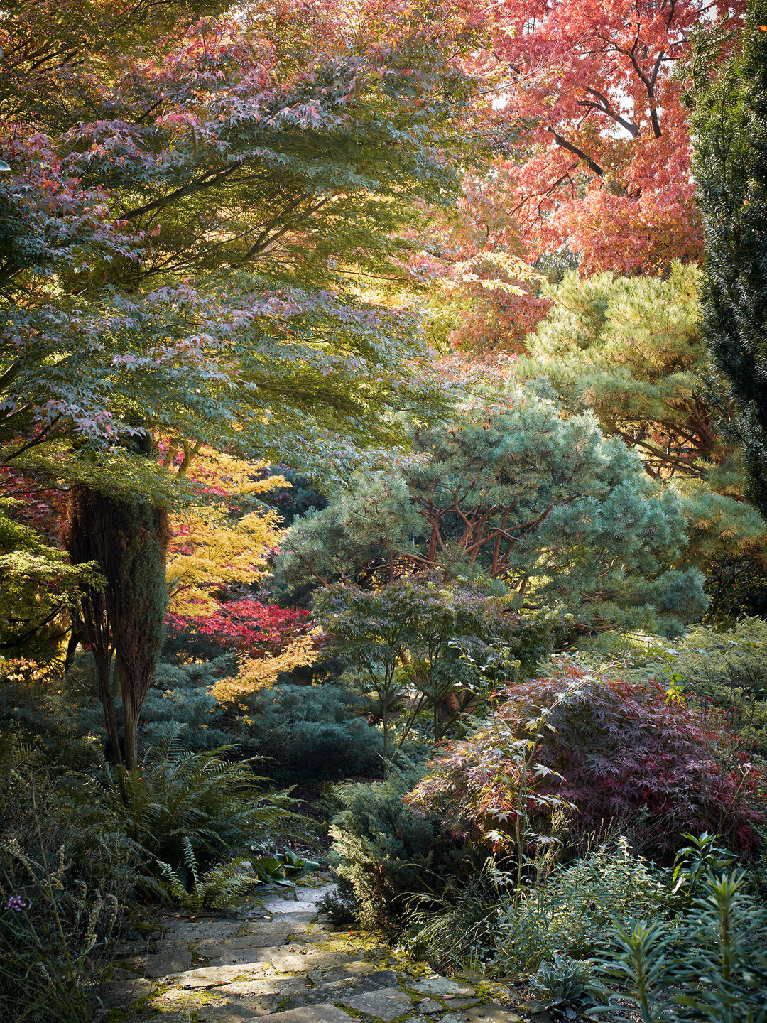 Der alte Park des Arboretums Hrle