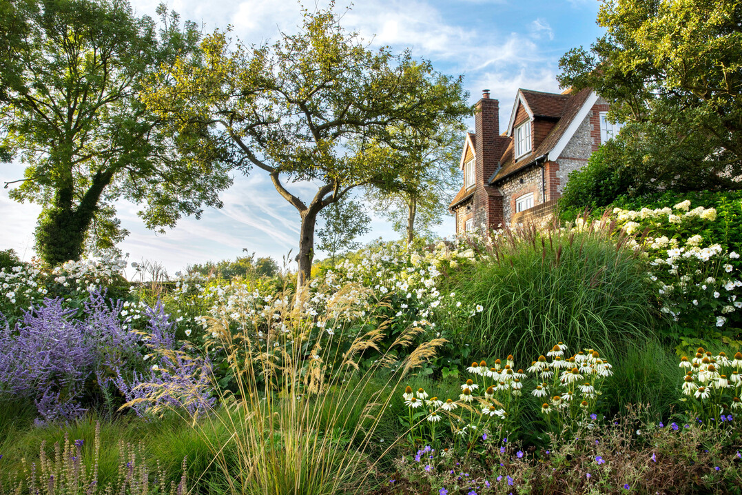 Die Bepflanzung umgibt und rahmt das Haus Blue Doors ein, darunter Echinacea purpurea "White Swan", Perovskia "Blue Spire", Anemone  hybrida "Honorine Jobert" und Miscanthus sinensis "Kleine Silberspinne".