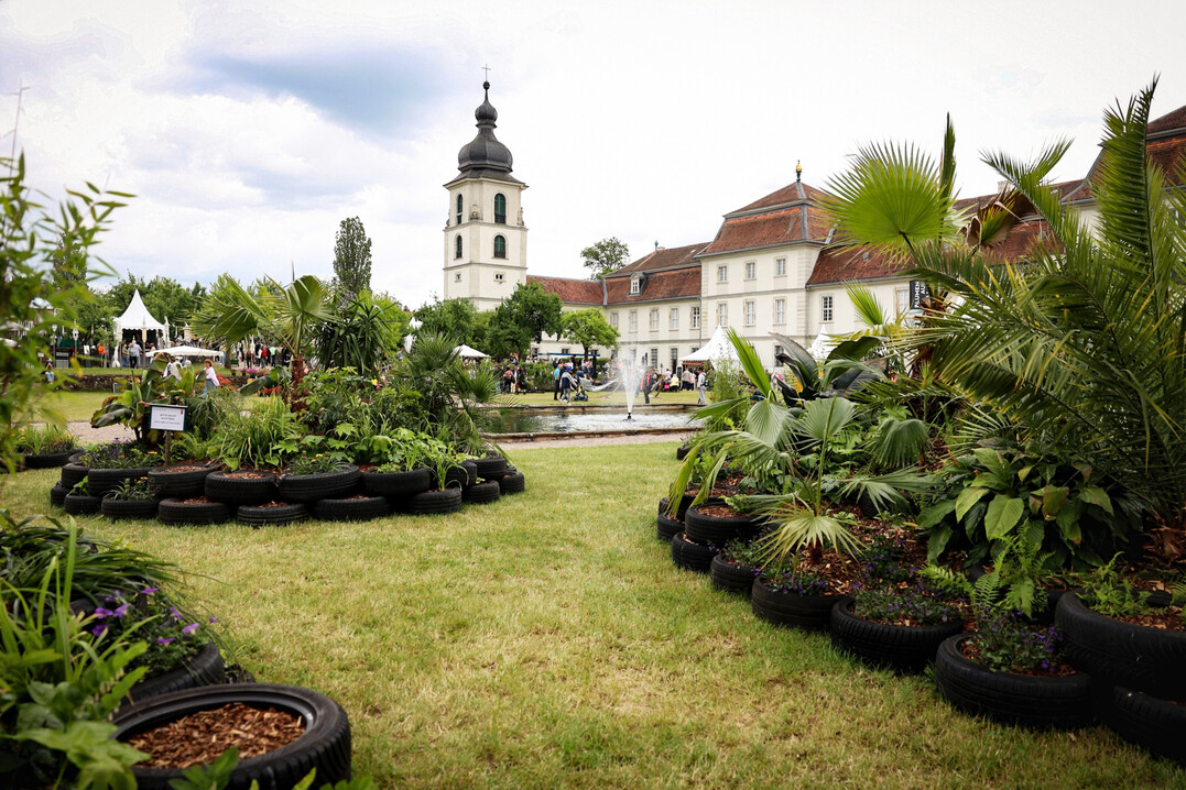 Alljhrlicher Schaugartenwettbewerb auf dem Gartenfest in Eichenzell, hier der Siegerentwurf von 2025: Vom Regenwald in den Garten von Vivien Keil und Jan Schilling