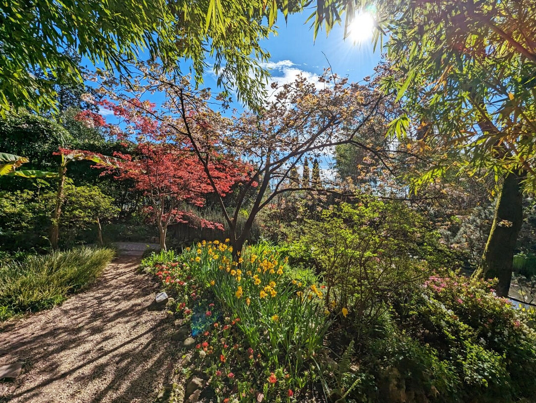 Blhender Garten am Gardasee