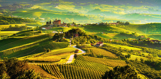 Weinberge im Piemont, Grinzane Cavour, UNESCO Welterbe