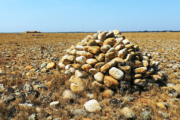 Sommer in der Crau d�Arles: Die Vegetation ist verdorrt.