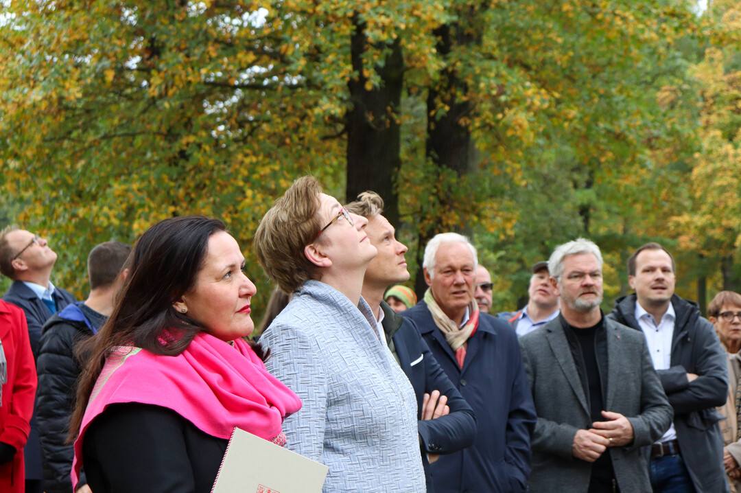 Dr. Manja Schüle, Klara Geywitz, Dr. Stefan Körner, Vorstand der Stiftung Fürst-Pückler-Museum, Uli Freese (ehemaliger Bundestagsabgeordneter) und Gunnar Kurth (Stadtverordneter SPD) (v.l.n.r.) betrachten in der Pückler-Allee im Branitzer Park Eichen, die durch den Eichenprachtkäfer bereits Schäden aufweisen