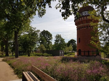 Einladender Empfang am Wasserspeicher: Blumenwiesen aus Rotem Leimkraut (Silene dioica).